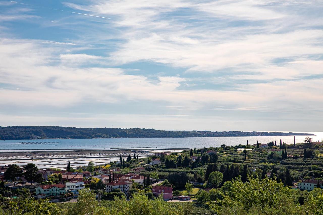Larabella Salt Fields View Studio Portorož Exteriér fotografie